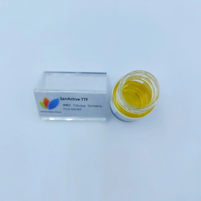 SanActive TTF (2)